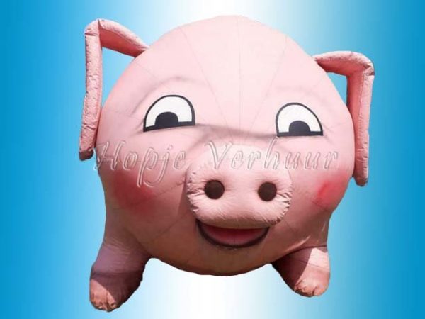 Pig